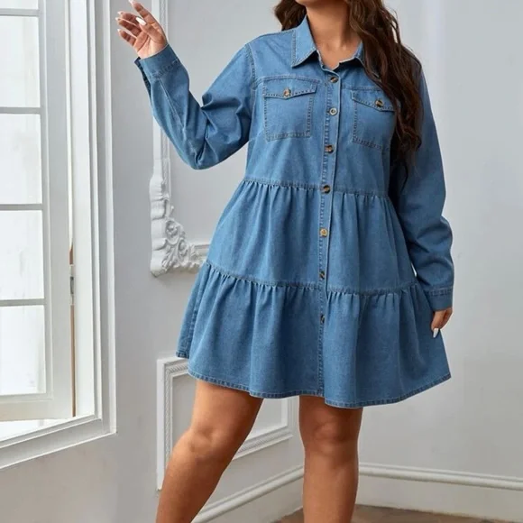 Ruffle Hem Denim Dress - Picture 2 of 4